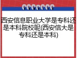 西安信息职业大学是专科还是本科院校呢(西安信大是专科还是本科)
