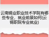 云南锡业职业技术学院有哪些专业，就业前景如何(云锡职院专业就业)