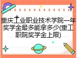 重庆工业职业技术学院一年奖学金最多能拿多少(重工职院奖学金上限)