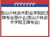 嵩山少林武术职业学院的王牌专业是什么(嵩山少林武术学院王牌专业)