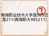 青海职业技术大学是985还是211(青海职大985211)