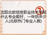 沈阳北软信息职业技术学院什么专业最好，一年招多少人(北软热门专业人数)