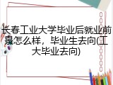 长春工业大学毕业后就业前景怎么样，毕业生去向(工大毕业去向)