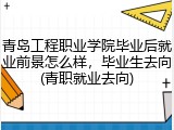青岛工程职业学院毕业后就业前景怎么样，毕业生去向(青职就业去向)