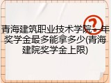 青海建筑职业技术学院一年奖学金最多能拿多少(青海建院奖学金上限)