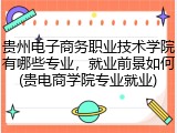 贵州电子商务职业技术学院有哪些专业，就业前景如何(贵电商学院专业就业)