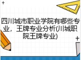 四川城市职业学院有哪些专业，王牌专业分析(川城职院王牌专业)