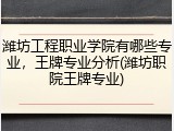 潍坊工程职业学院有哪些专业，王牌专业分析(潍坊职院王牌专业)