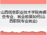 山西信息职业技术学院有哪些专业，就业前景如何(山西职院专业就业)