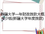 新疆大学一年财政拨款大概多少钱(新疆大学年度拨款)