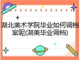 湖北美术学院毕业如何调档案呢(湖美毕业调档)