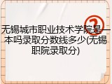 无锡城市职业技术学院是一本吗录取分数线多少(无锡职院录取分)