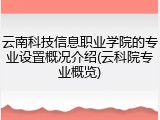 云南科技信息职业学院的专业设置概况介绍(云科院专业概览)
