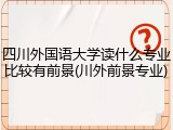 四川外国语大学读什么专业比较有前景(川外前景专业)