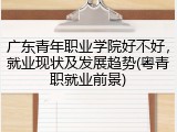 广东青年职业学院好不好，就业现状及发展趋势(粤青职就业前景)