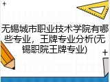 无锡城市职业技术学院有哪些专业，王牌专业分析(无锡职院王牌专业)