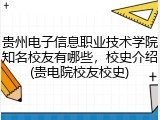 贵州电子信息职业技术学院知名校友有哪些，校史介绍(贵电院校友校史)