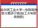 哈尔滨工业大学一年财政拨款大概多少钱(哈工大年财政拨款)