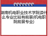 湖南机电职业技术学院读什么专业比较有前景(机电职院前景专业)