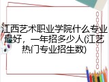 江西艺术职业学院什么专业最好，一年招多少人(江艺热门专业招生数)