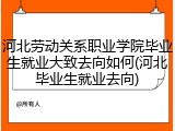 河北劳动关系职业学院毕业生就业大致去向如何(河北毕业生就业去向)