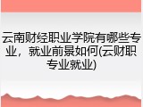 云南财经职业学院有哪些专业，就业前景如何(云财职专业就业)
