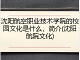 沈阳航空职业技术学院的校园文化是什么，简介(沈阳航院文化)