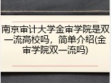 南京审计大学金审学院是双一流高校吗，简单介绍(金审学院双一流吗)
