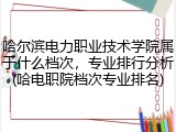 哈尔滨电力职业技术学院属于什么档次，专业排行分析(哈电职院档次专业排名)