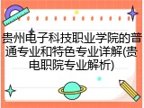 贵州电子科技职业学院的普通专业和特色专业详解(贵电职院专业解析)
