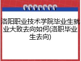 洛阳职业技术学院毕业生就业大致去向如何(洛职毕业生去向)