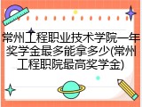 常州工程职业技术学院一年奖学金最多能拿多少(常州工程职院最高奖学金)