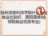桂林信息科技学院什么专业就业比较好，原因是啥(桂信院就业优势专业)