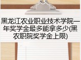 黑龙江农业职业技术学院一年奖学金最多能拿多少(黑农职院奖学金上限)