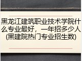 黑龙江建筑职业技术学院什么专业最好，一年招多少人(黑建院热门专业招生数)