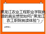 黑龙江农业工程职业学院就读的真实感觉如何("黑龙江农工职院就读体验")