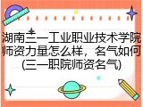 湖南三一工业职业技术学院师资力量怎么样，名气如何(三一职院师资名气)