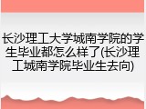 长沙理工大学城南学院的学生毕业都怎么样了(长沙理工城南学院毕业生去向)
