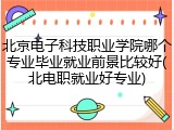 北京电子科技职业学院哪个专业毕业就业前景比较好(北电职就业好专业)