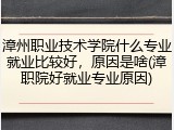 漳州职业技术学院什么专业就业比较好，原因是啥(漳职院好就业专业原因)