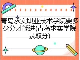 青岛求实职业技术学院要多少分才能进(青岛求实学院录取分)