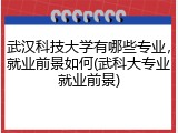 武汉科技大学有哪些专业，就业前景如何(武科大专业就业前景)