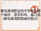 青岛港湾职业技术学院在哪个城市，是本科吗，第几批(青岛港湾职院城市批次)