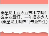 秦皇岛工业职业技术学院什么专业最好，一年招多少人(秦皇岛工院热门专业招生)