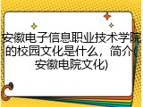 安徽电子信息职业技术学院的校园文化是什么，简介(安徽电院文化)