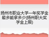 扬州市职业大学一年奖学金最多能拿多少(扬州职大奖学金上限)