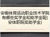 安徽体育运动职业技术学院有哪些奖学金和助学金呢(安体职院奖助学金)