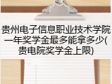 贵州电子信息职业技术学院一年奖学金最多能拿多少(贵电院奖学金上限)