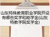 山东特殊教育职业学院开设有哪些奖学和助学金(山东特教学院奖学金)