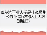 哈尔滨工业大学是什么级别，公办还是民办(哈工大级别性质)